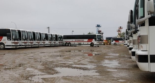 Chartered buses gather up an army of workers from their homes and deposit the crews at a handful of operating mines.