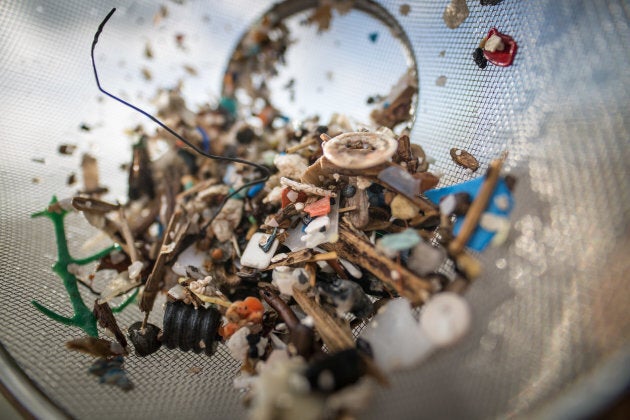 Microplastic particles have been found in human waste for the first time.