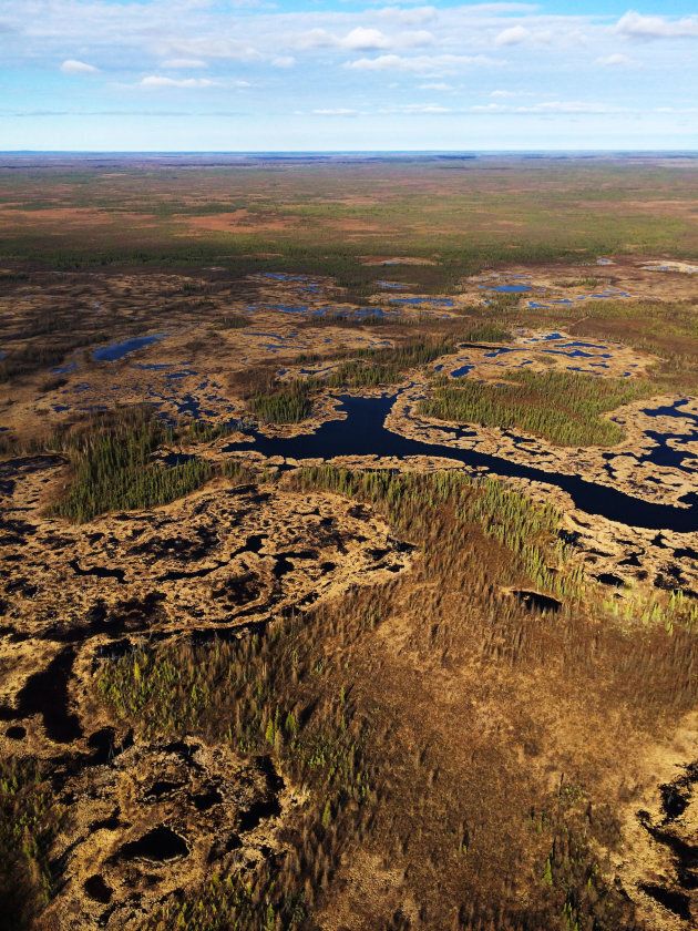 The Edéhzhíe Dehcho Protected Area/National Wildlife Area conserves a sweep of boreal forest west of Yellowknife that's more than twice the size of Banff National Park.