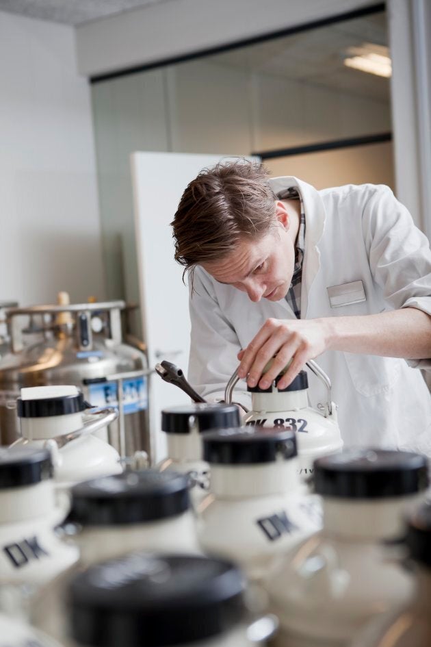 A laboratory worker inspects a shipping containers for frozen sperm at Cryos International Sperm Bank in Aarhus, Denmark.