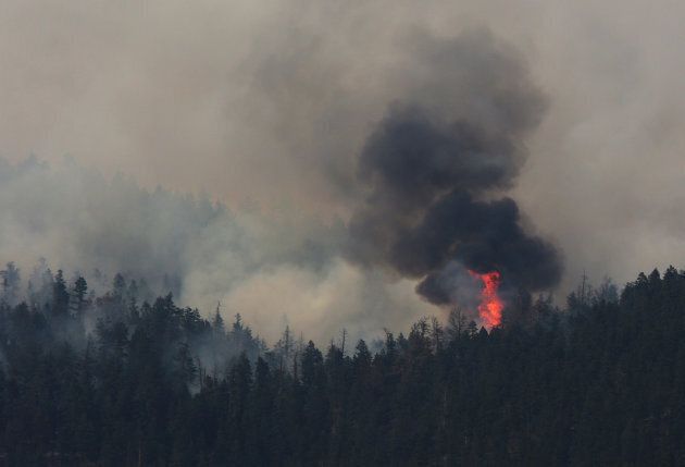 A wildfire burns north east of the town of Cache Creek, British Columbia, Canada July 18, 2017. Picture taken July 18, 2017. REUTERS/Ben Nelms