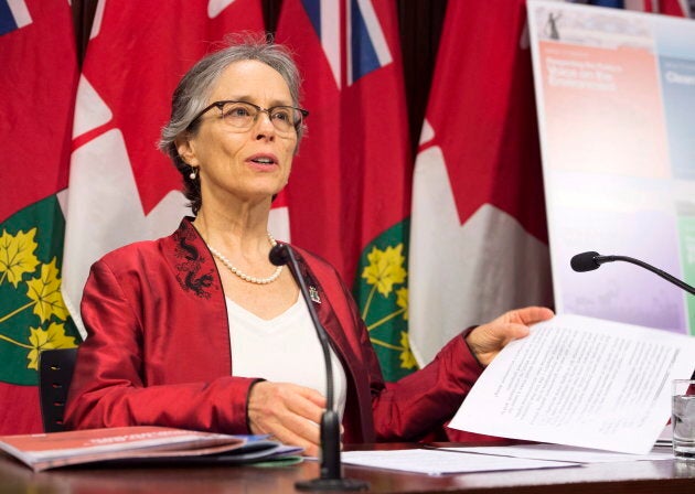 Dianne Saxe, environmental commissioner of Ontario, releases her annual report during a news conference at Queen's Park in Toronto on Nov. 13, 2018.