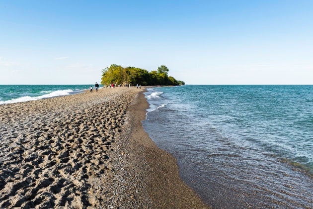 A lush Carolinian forest oasis at the southern tip of Canada, at Point Pelee National Parkin Ontario.