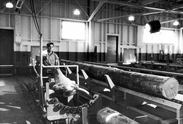 A worker operates a giant cradle that receives logs and pushes them into a gangsaw at the Powell River sawmill in 1957.