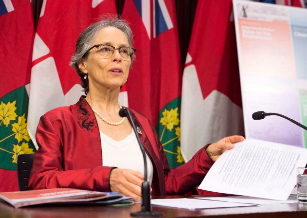 Dianne Saxe, Environmental Commissioner of Ontario, releases her annual environmental protection report on Nov. 13, 2018.