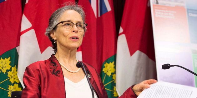 Environmental Commissioner of Ontario Dianne Saxe releases her annual report at a news conference at the Ontario legislature in Toronto on Nov. 13, 2018.