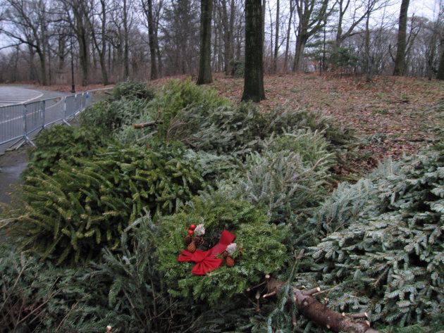 A Christmas tree recycling program in Brooklyn in January 2013.