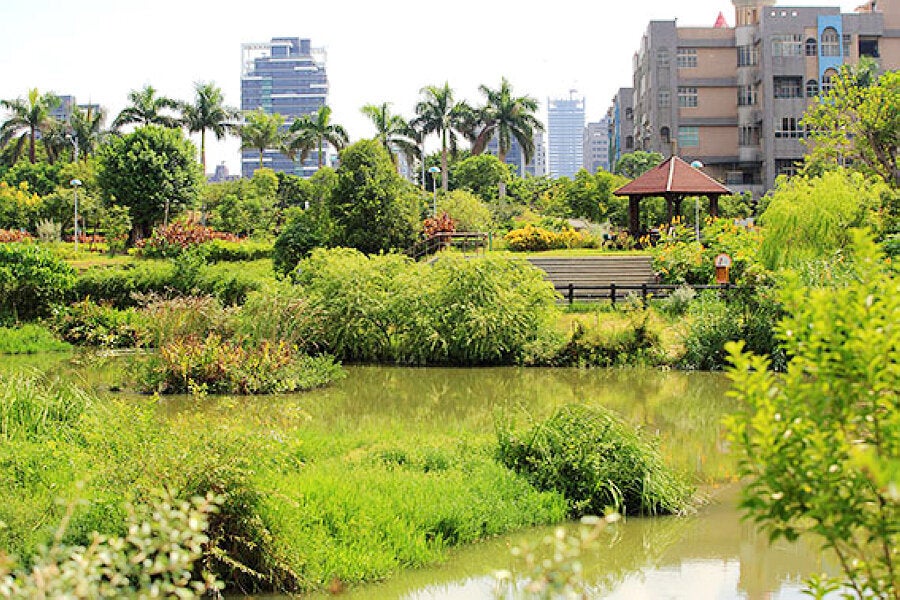 (圖片來源:新北市政府高灘地工程管理處)