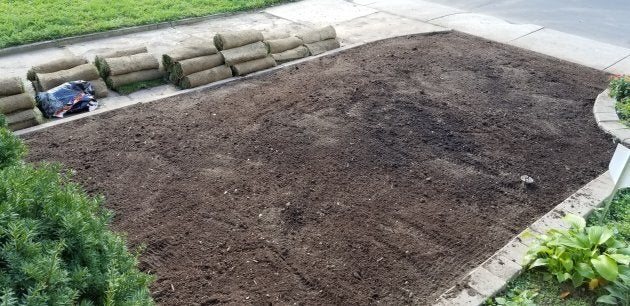 I sifted the top 12 inches of my front yard by hand to get rid of every root and bulb, because why rent a tiller?