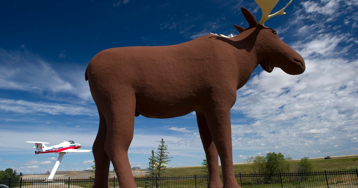 Moose Jaw's Mac The Moose Statue Aiming For World's Tallest Title