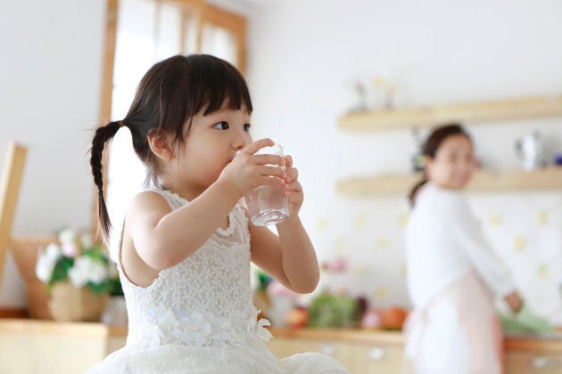 The new food guide recommends drinking more water.