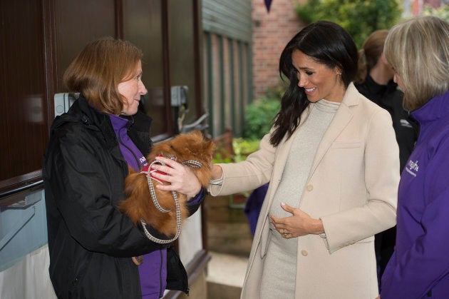 Cradling her baby bump, Meghan Markle meets Foxy during her visit to the Mayhew, an animal welfare charity on Jan. 16, 2019.