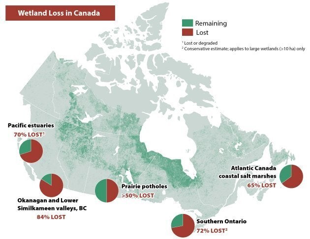 Wetland Loss in Canada (Map by the Nature Conservancy of Canada)