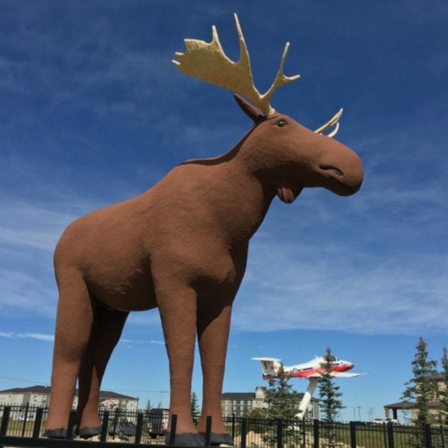 Mac the Moose standing tall in Moose Jaw.