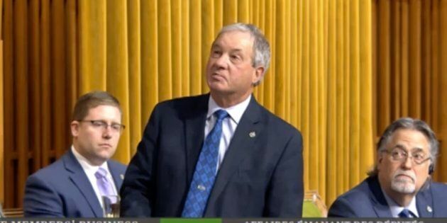 Conservative MP Ron Liepert addresses the House of Commons on Feb. 4, 2019.