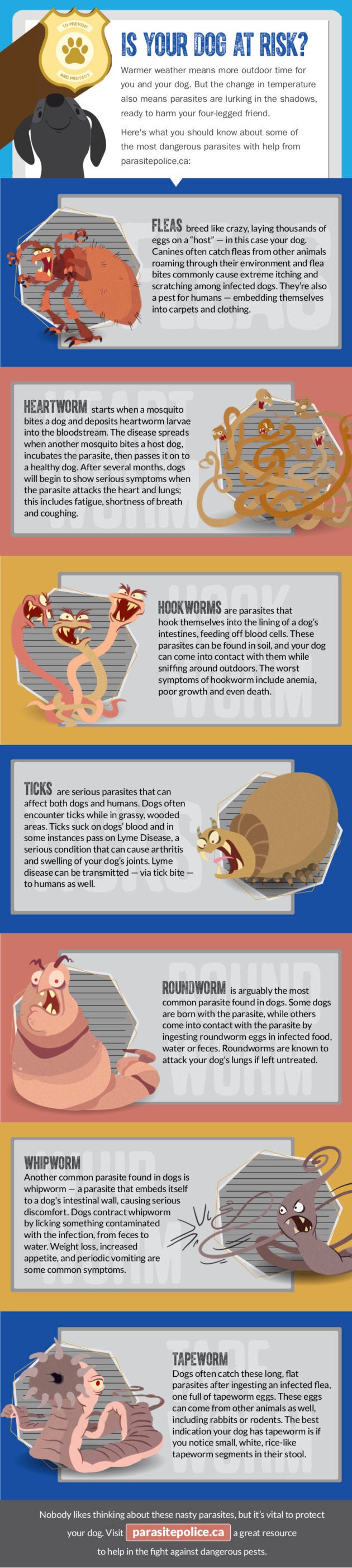 Information provided by parasitepolice.ca.