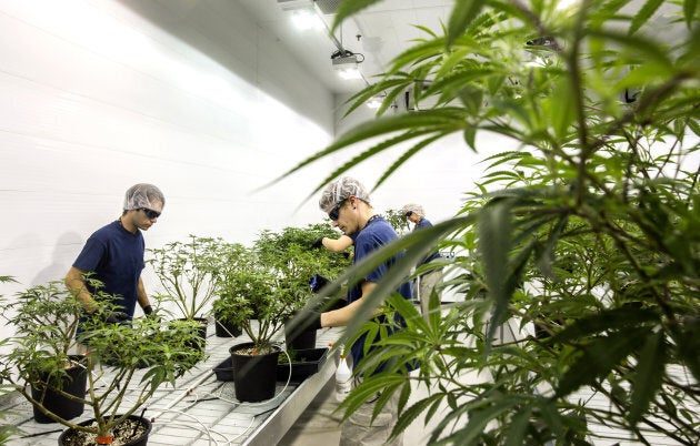 Employees work at the Canopy Growth Corp. facility in Smith Falls, Ont. on Dec. 19, 2017.