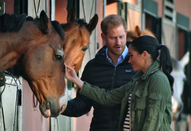 Harry and Meghan meeting horses at the Moroccan Royal Federation of Equestrian Sports in Rabat on Monday.