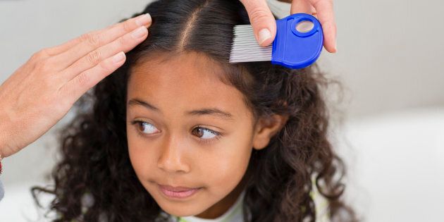 Kids With Lice Won't Be Asked To Stay Home Under This Ontario School  Board's New Policy | HuffPost Parents