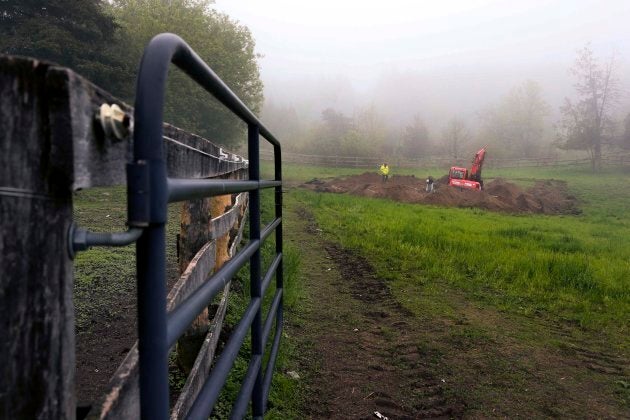 In a grisly scene, volunteers recover the remains of horses on a farm in Stouffville, Ont., May 19, 2018.