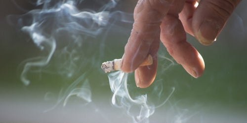 tobacco expo dubai World Tobacco Expo 2025