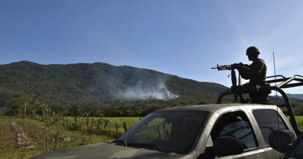 The Puerto Vallarta Cartel Scare is a Luxury Tax for the Gullible