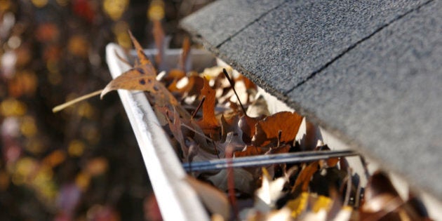 Fall Cleanup - Leaves in Gutter