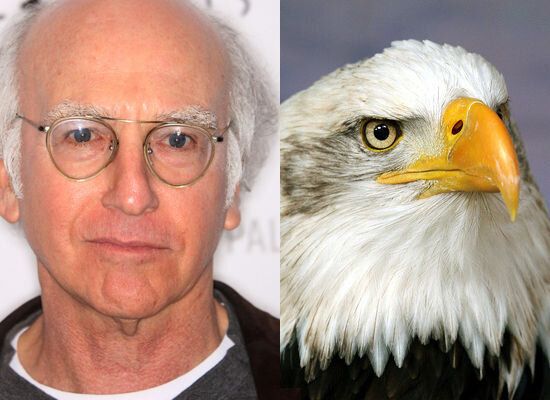 Larry David - Eagle