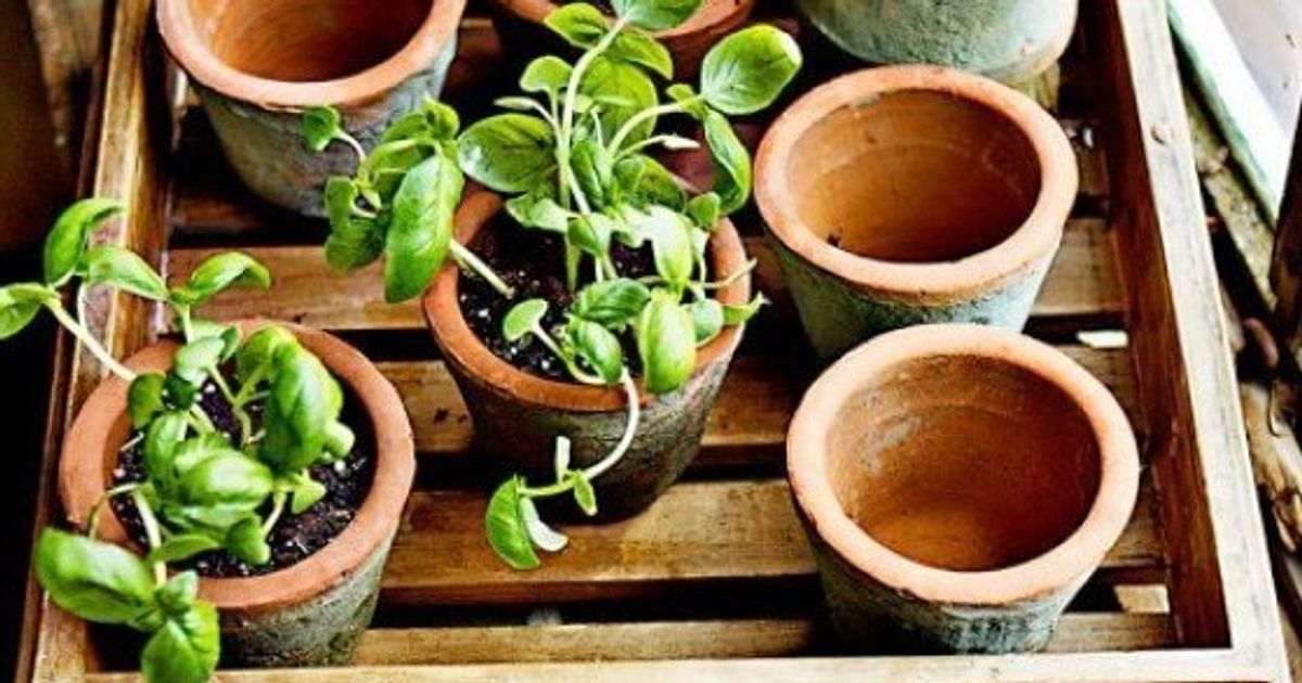 20 Things All Gardeners Would Love To Have