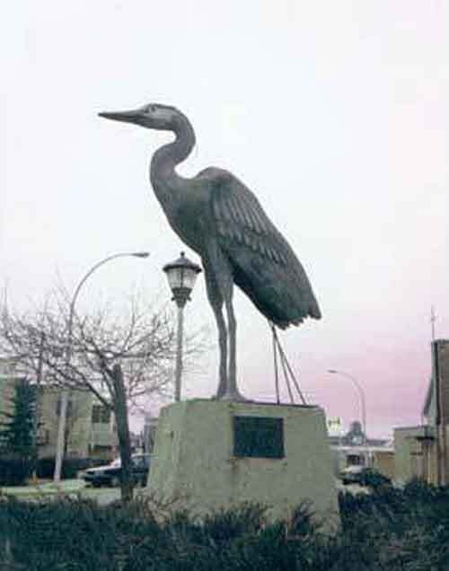 Aaron the Heron in Barrhead