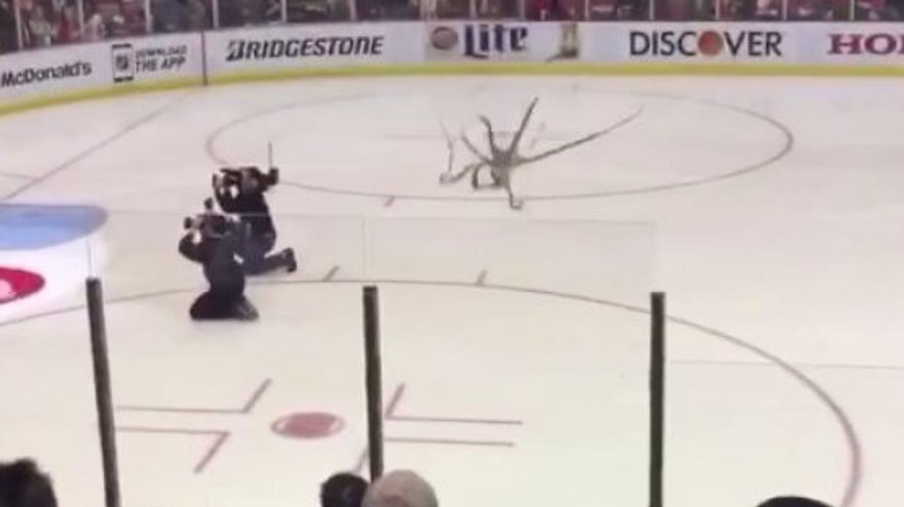 Red Wings fan throws dead octopus on the Bruins' ice while their team is  losing 