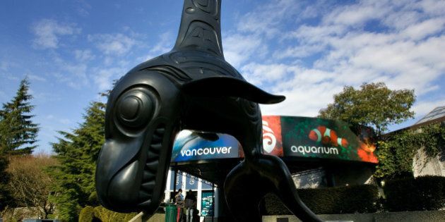 VANCOUVER, CANADA - FEBRUARY 18: The Orca statue, 'Chief of the Undersea World', designed by Bill Reid, stands in front of the Vancouver aquarium February 18, 2009 in Vancouver, British Columbia, Canada. Vancouver is the host city for the 2010 Winter Olympic Games being held February 12-28, 2010. (Photo by Robert Giroux/Getty Images)