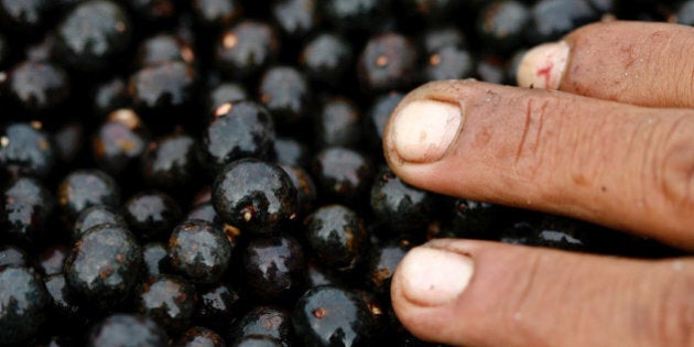 ** FOR USE WITH AP LIFESTYLES ** Acai fruits are seen for sale at a market in Belem, Brazil, May 14, 2007. Virtually unknown outside this remote corner of Latin America's largest nation until 15 years ago, acai juice suddenly is a global