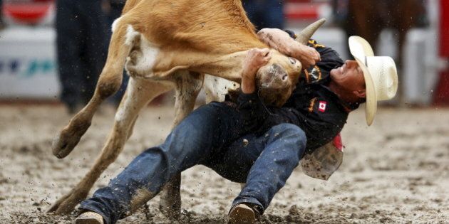 Cody Cassidy of Donalda, Alberta wrestles a steer in the Steer Wrestling event during Championship Sunday at the finals of the Calgary Stampede rodeo in Calgary, Alberta, July 12, 2015. REUTERS/Todd Korol