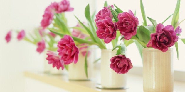 Double Tulips in vases