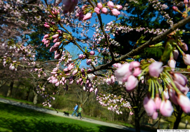 15 Canadian Places That Are Magical In Springtime  HuffPost Canada News