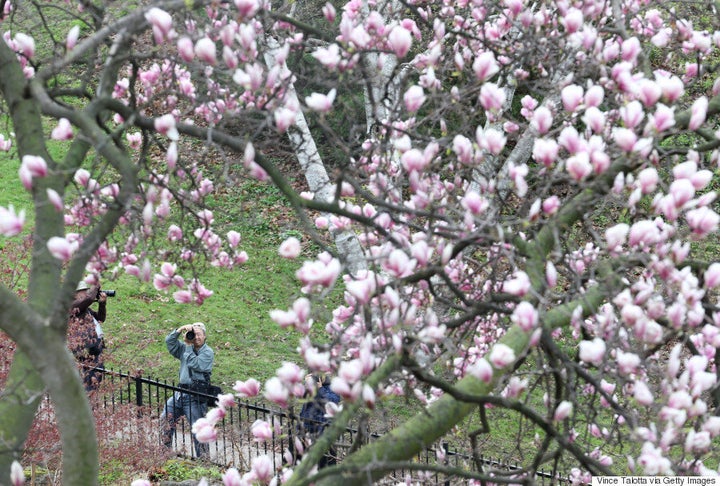 15 Canadian Places That Are Magical In Springtime  HuffPost Canada News