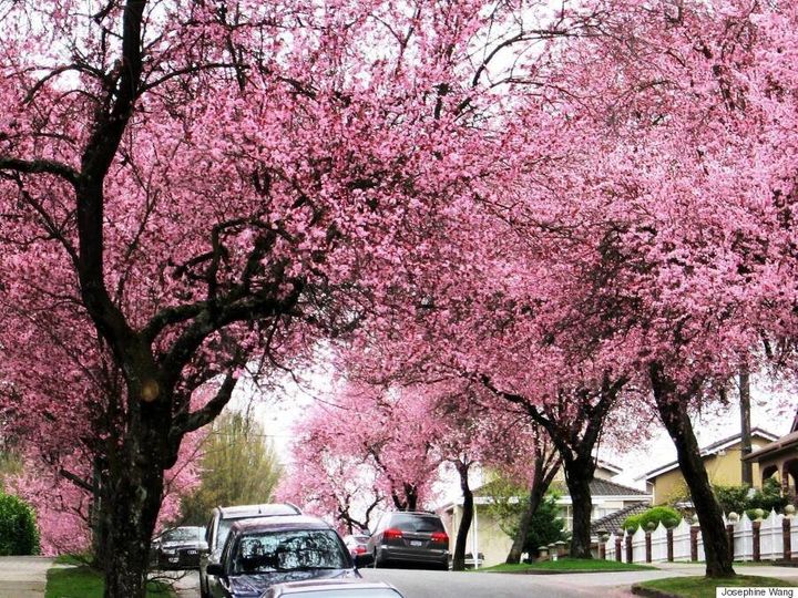 15 Canadian Places That Are Magical In Springtime  HuffPost Canada News