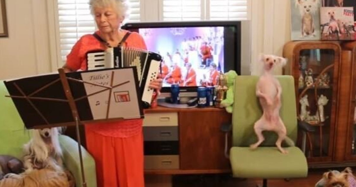 Nathan The Hairless Dog Is A Pretty Talented Dancer, Donald Trump