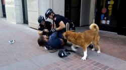 WATCH: Calgary Police Arrest Man -- While His Dog Bites