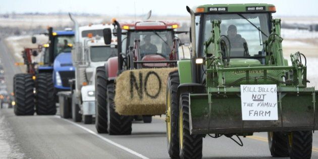 A long convoy of farmers and ranchers driving tractors, sprayers, combines and trucks travel from Fort Macleod north on Highway 2 to Okotoks December 2, 2015 where they will be meeting with provincial Labour Minister Lori Sigurdson and Agriculture Minister Oneil Carlier. Alberta's government will retool a bill that would overhaul workplace standards on farms in Canada's biggest cattle-producing province, its agriculture minister said, after protests by farmers and ranchers. REUTERS/Mike Sturk