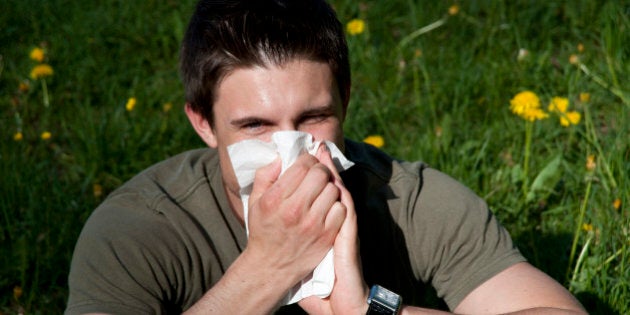 Man blowing nose in park, English Garden, Munich, Bavaria, Germany