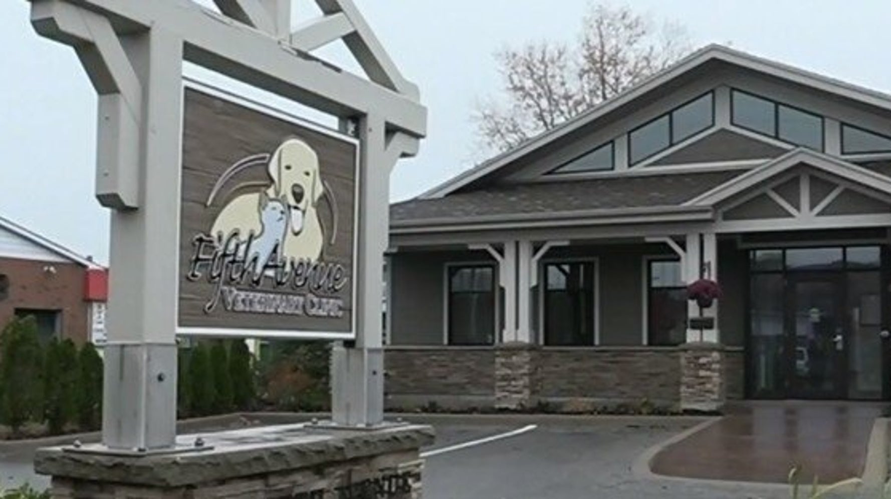 Orangeville Dogs Sickened By Inexplicable Illness HuffPost null