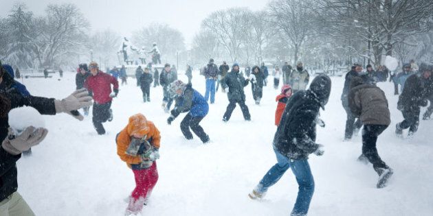 The snowball fight in Lincoln Park on Capitol Hill.