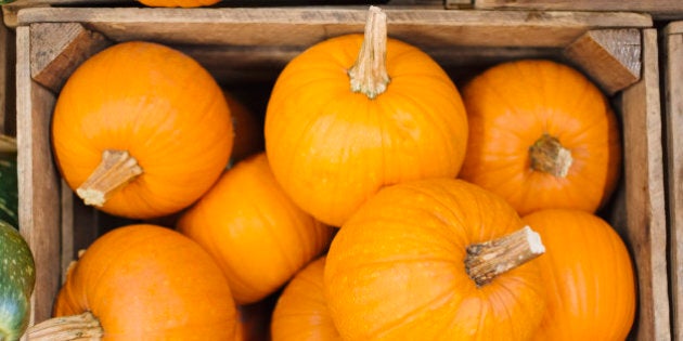 Pumpkins in box