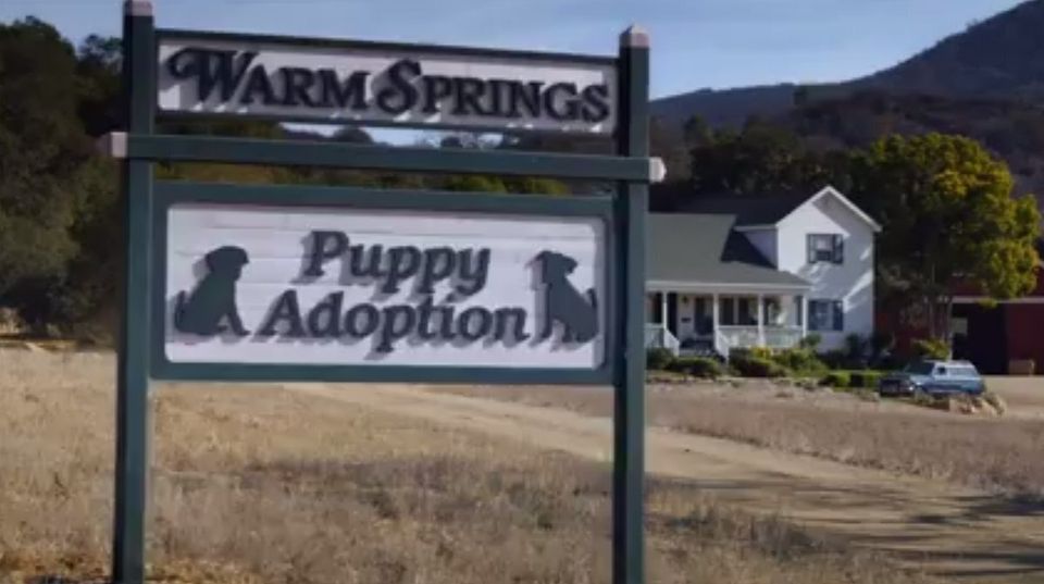 It's the beautiful countryside. It's Americana. It's the two words scientifically proven to tug human beings' heart strings the most: 'puppy' and 'adoption'.