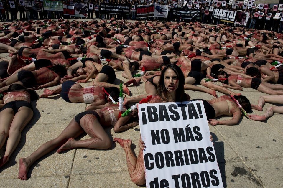 Bullfighting Protested In Mexico City