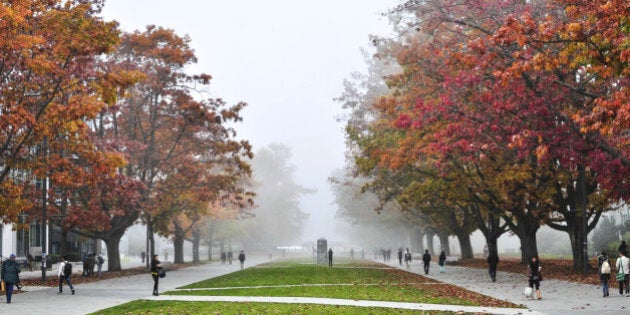 This is the way inside UBC (University of British Columbia) was coated by fog and the two sides has a lot of red maple trees as well.