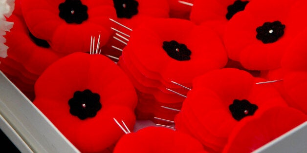 remembrance poppy 2014