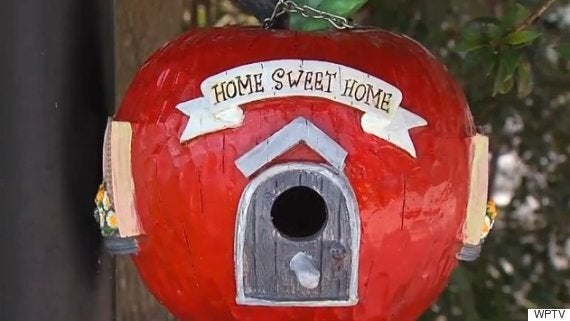 Florida Man Admits To Shooting Wife Because He Couldn't Afford Her ...